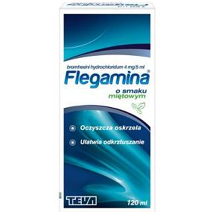 FLEGAMINA 4 mg/ 5 ml syrop o smaku miętowym  120 ml