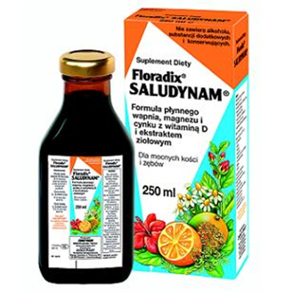 Floradix Saludynam 250 ml 