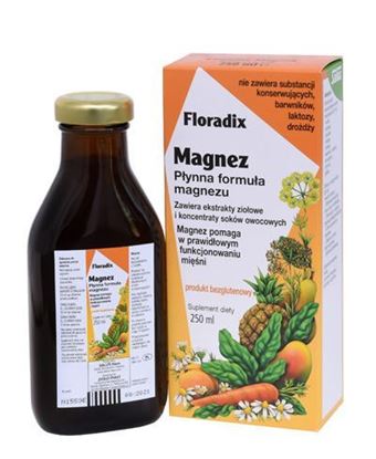 Obrazek Floradix Magnez 250 ml