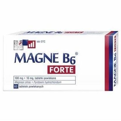 Obrazek Magne B6 Forte 100 tabletek