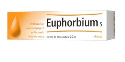 Obrazek HEEL Euphorbium S aerozol do nosa 20 ml